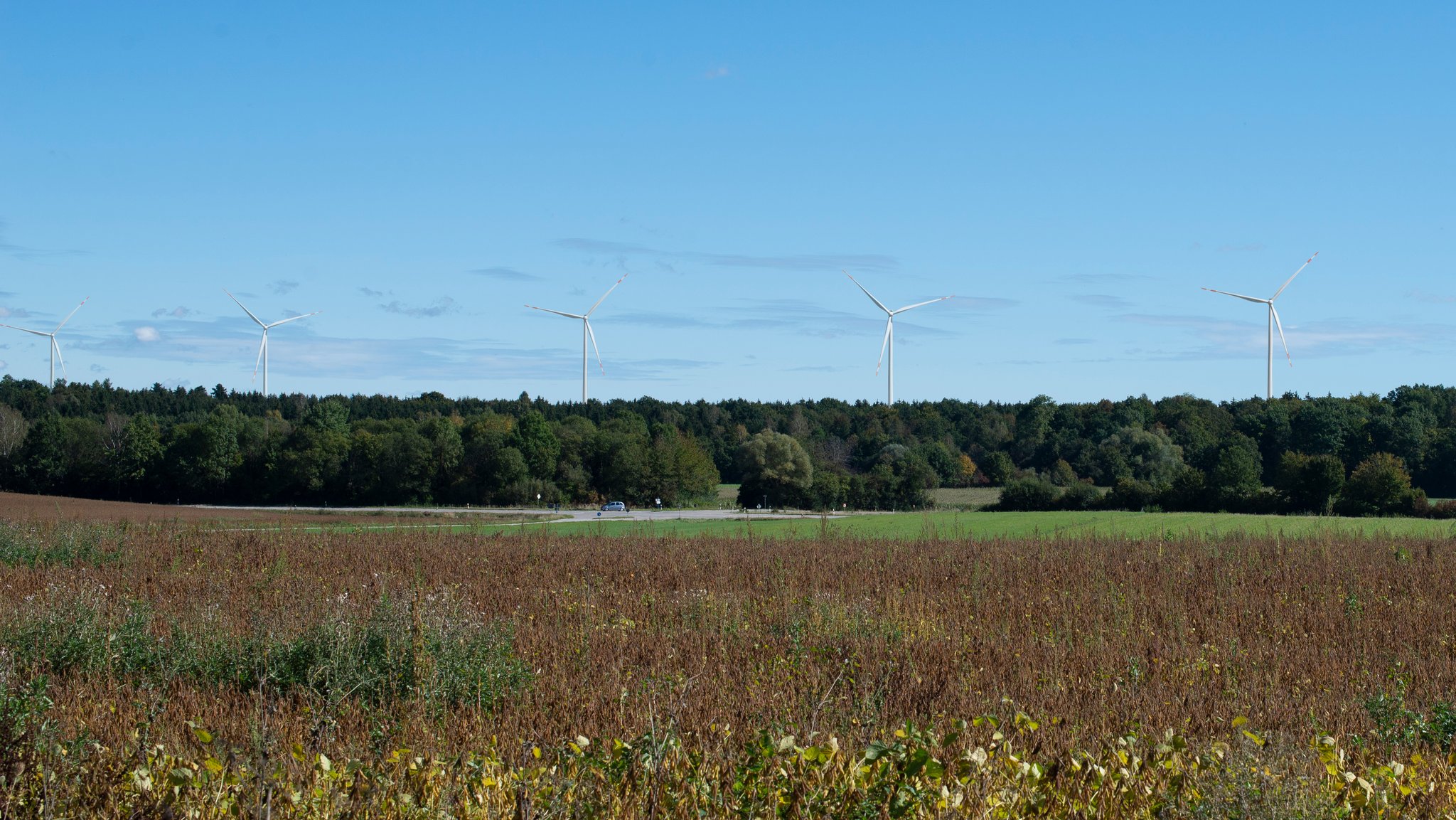 Visualisierung von fünf Windräder im Ebersberger Forst