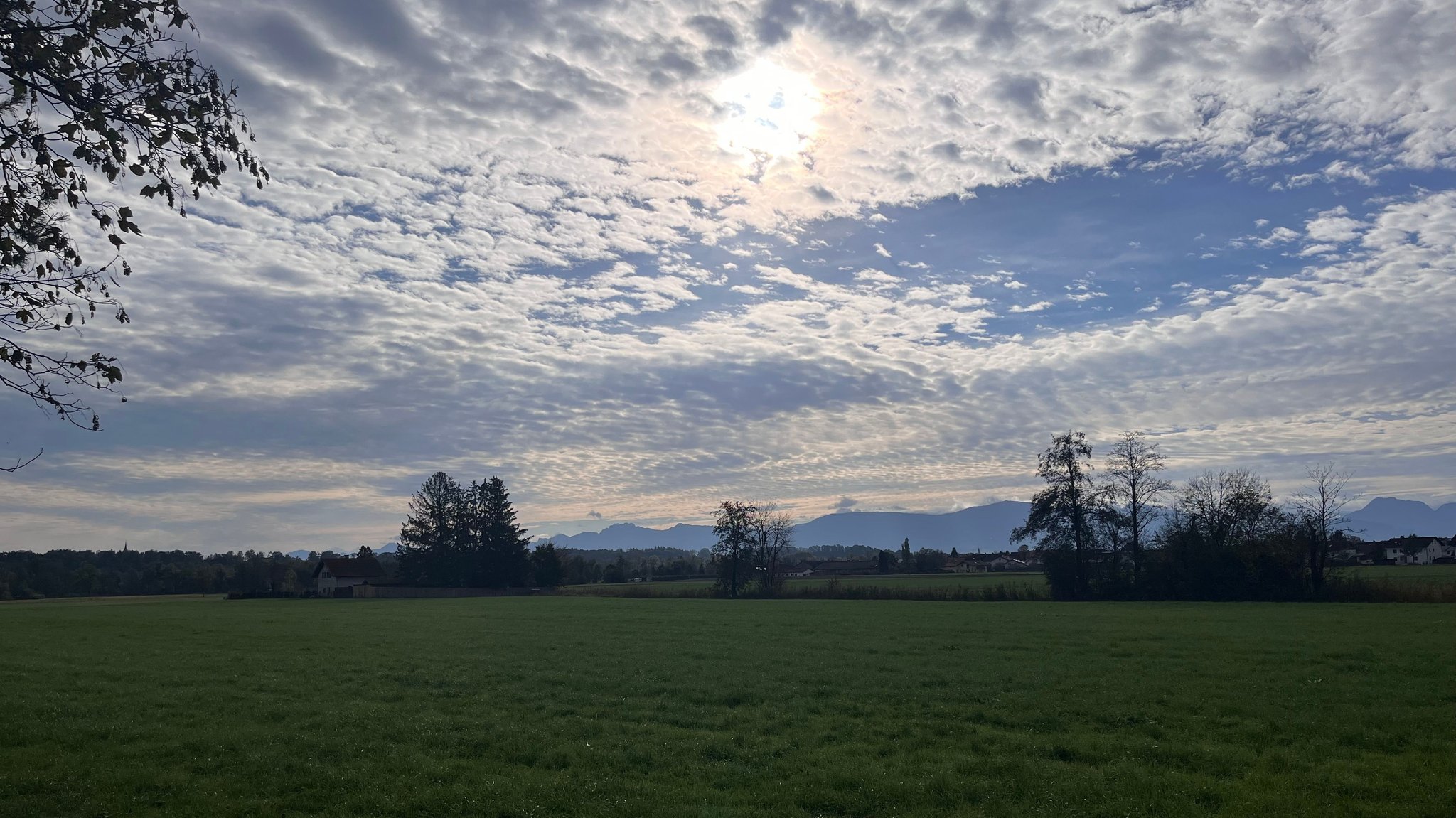 Unverbaute Landschaft: Hier im Rosenheimer Norden könnte einmal eine große Bahnbrücke stehen.