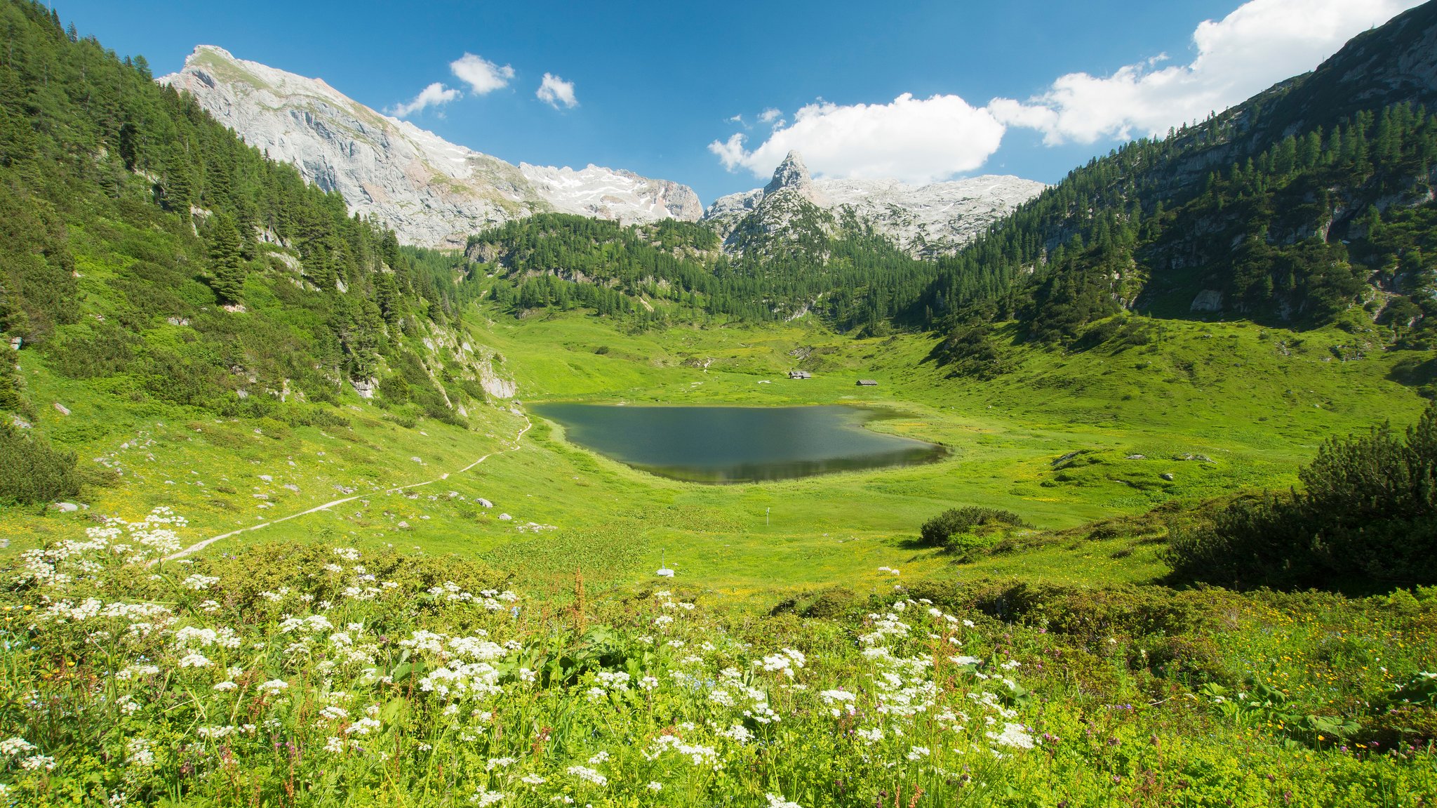 Der Funtensee im Berchtesgadener Land im Sommer