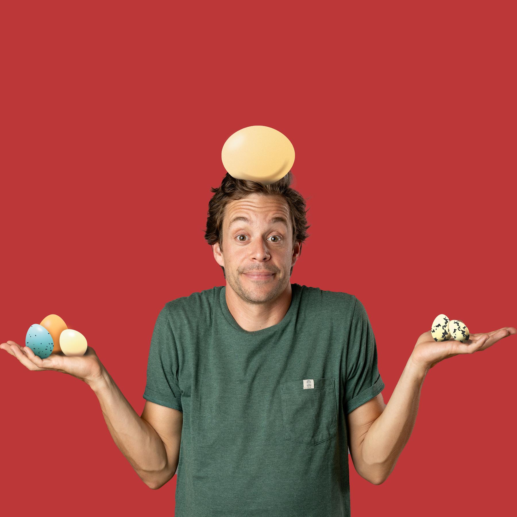 Eier | Von Dotter und Eiklar