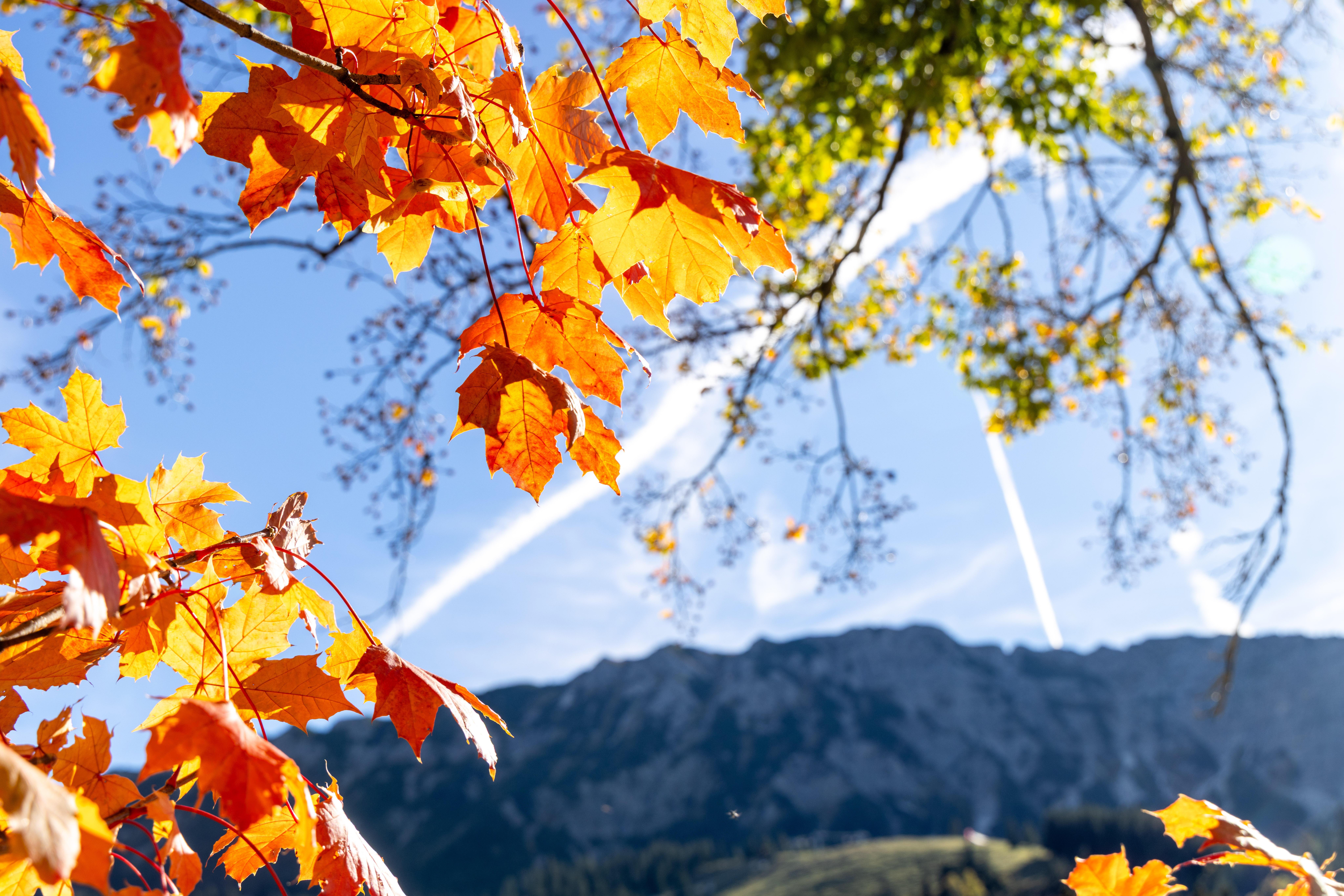 Oktober endet mild: Bis zu 20 Grad in Teilen Bayerns | BR24