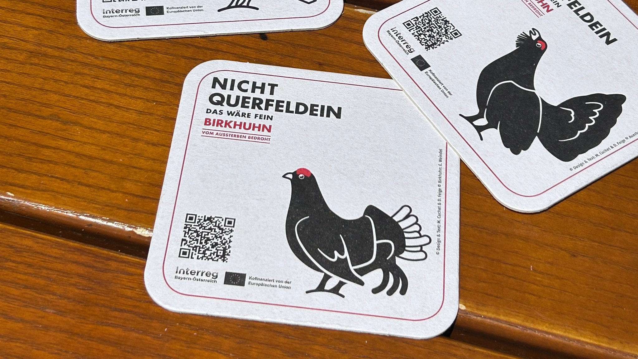 Auf Bierdeckeln stellen sich die verschiedenen Raufußhühnerarten vor. | Bild: BR / Sophia Rauchhaus Auf Bierdeckeln stellen sich die verschiedenen Raufußhühnerarten vor.
