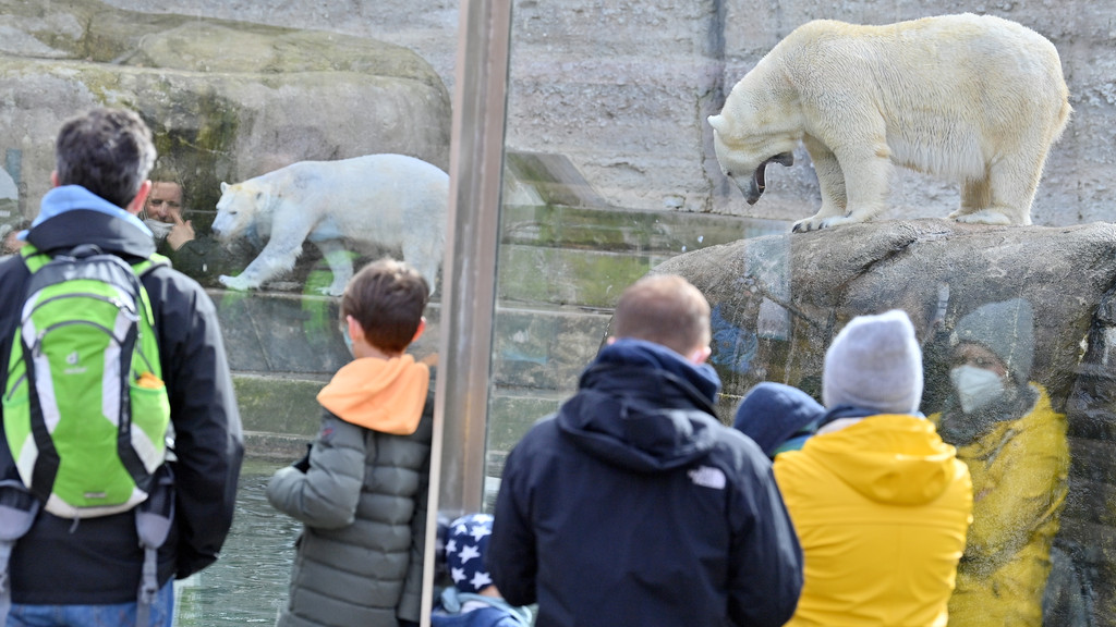 Besucher stehen vor dem Eisbären-Gehege im Tierpark Hellabrunn. 