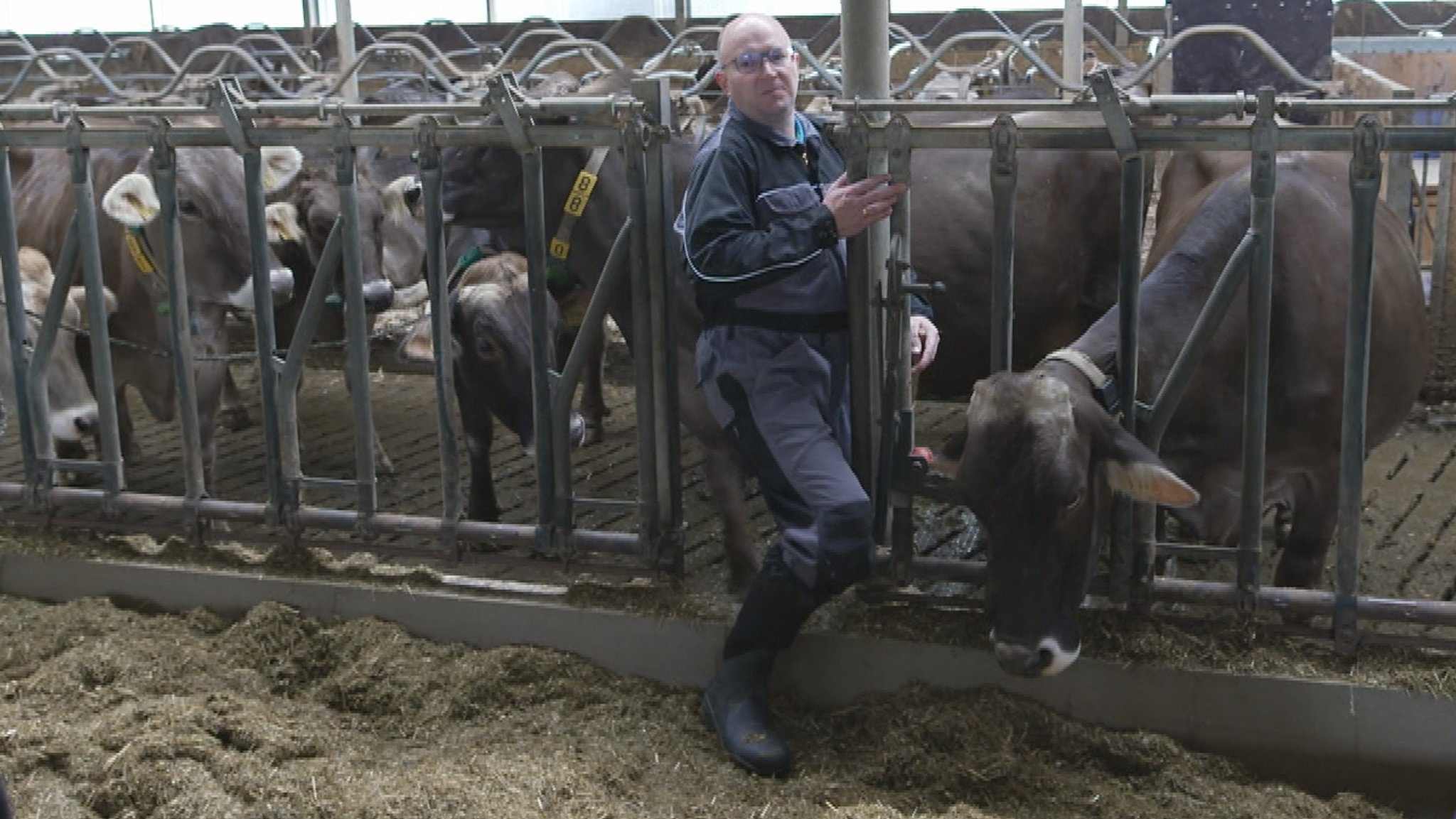 Ein Sicherheitsberater der landwirtschaftlichen Sozialberatung demonstriert einen Personenschlupf als Fluchtweg im Kuhstall