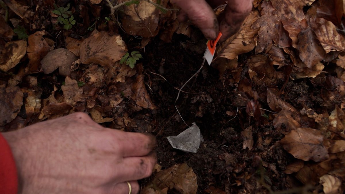Mit vergrabenen Teebeuteln: Bodenforschung in der Rhön