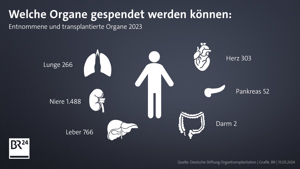 Grafik mit der Anzahl der transplantierten Organe