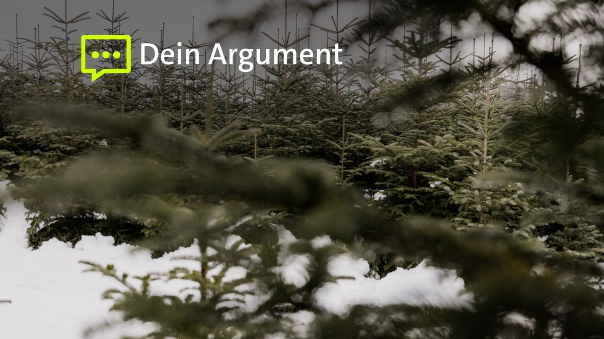Eine Weihnachtsbaumplantage im Schnee (Archivbild).