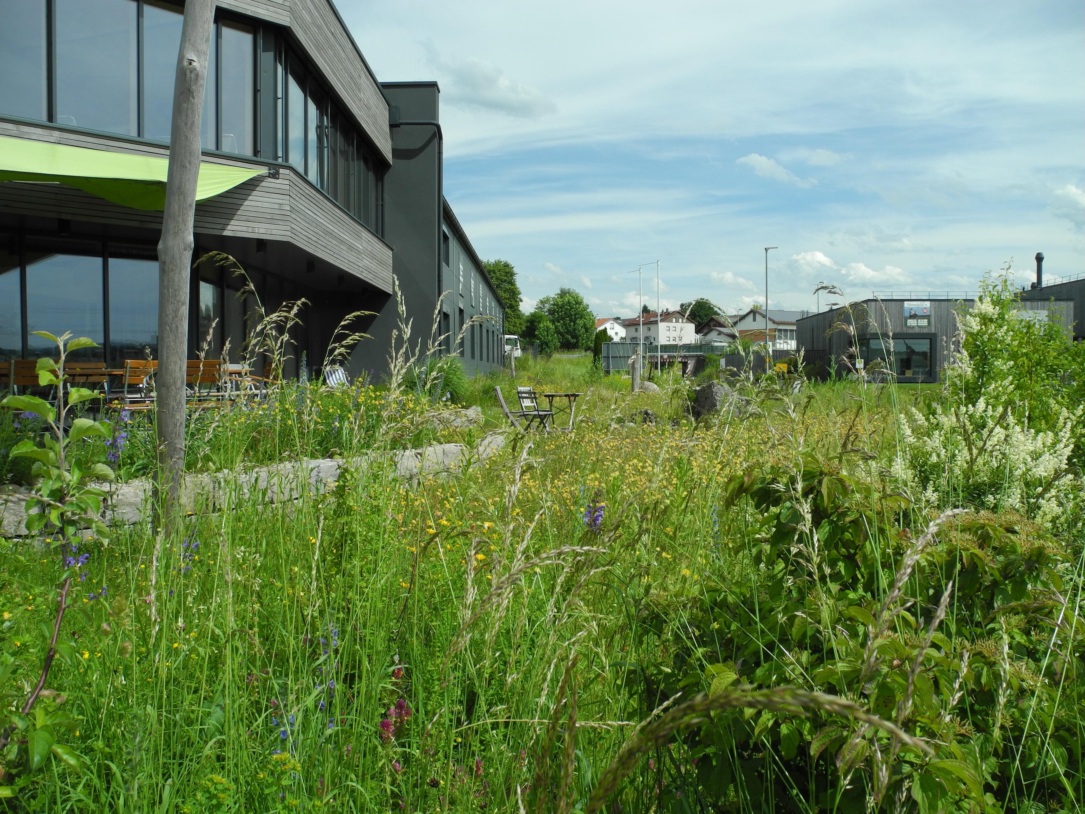 Im Vordergrund eine Blühwiese mit Sträuchern, zwei Sitzgruppen. Links im Hintergrund ein graues Firmenglände mit Terrasse