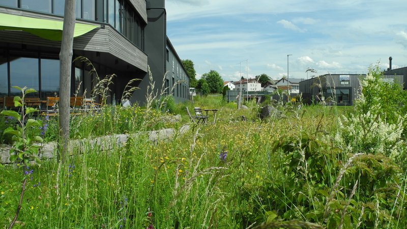 Im Vordergrund eine Blühwiese mit Sträuchern, zwei Sitzgruppen. Links im Hintergrund ein graues Firmenglände mit Terrasse | Bild: BR / Ursula Klement Im Vordergrund eine Blühwiese mit Sträuchern, zwei Sitzgruppen. Links im Hintergrund ein graues Firmenglände mit Terrasse
