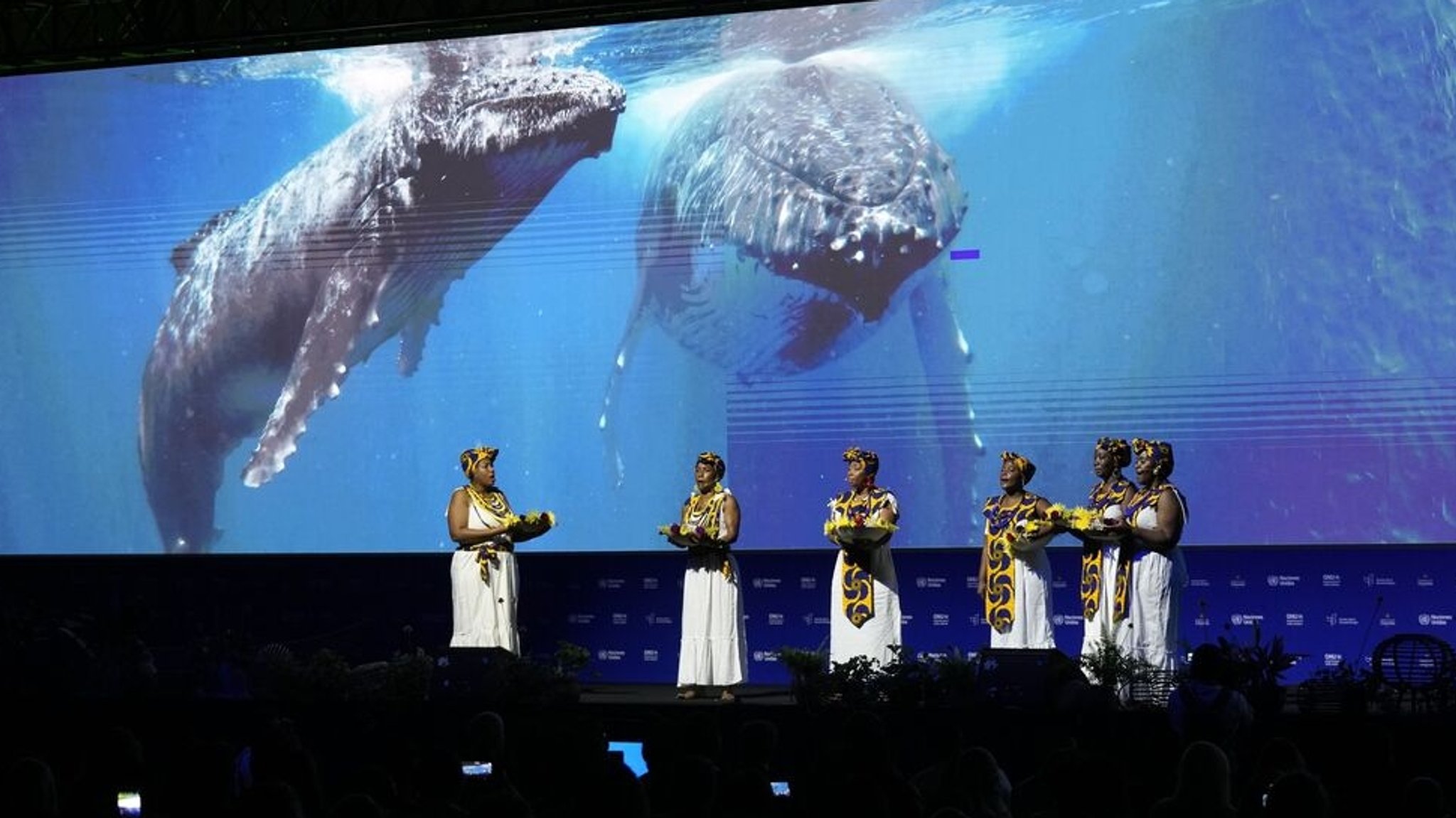 ARCHIV - 20.10.2024, Kolumbien, Cali: Afrokolumbianische Frauen treten während der Eröffnungszeremonie der COP16, einer Konferenz der Vereinten Nationen zum Thema Biodiversität, in Cali, Kolumbien, auf. (zu dpa: «Lemke reist mit Nationaler Biodiversitätsstrategie nach Cali») Foto: Fernando Vergara/AP/dpa +++ dpa-Bildfunk +++