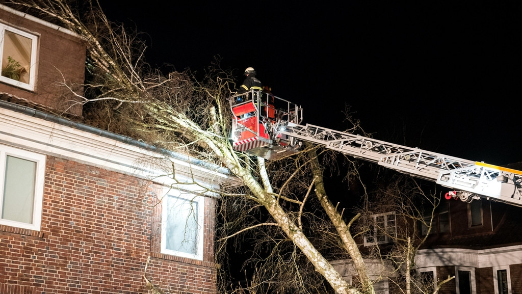 Sturmtief Zeynep - Ein Baum ist auf ein Haus gefallen. Die Feuerwehr hilft.