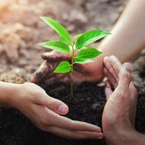 Regenerative Kulturen - Viel mehr als nachhaltig | Bild: stock.adobe.com/lovelyday12