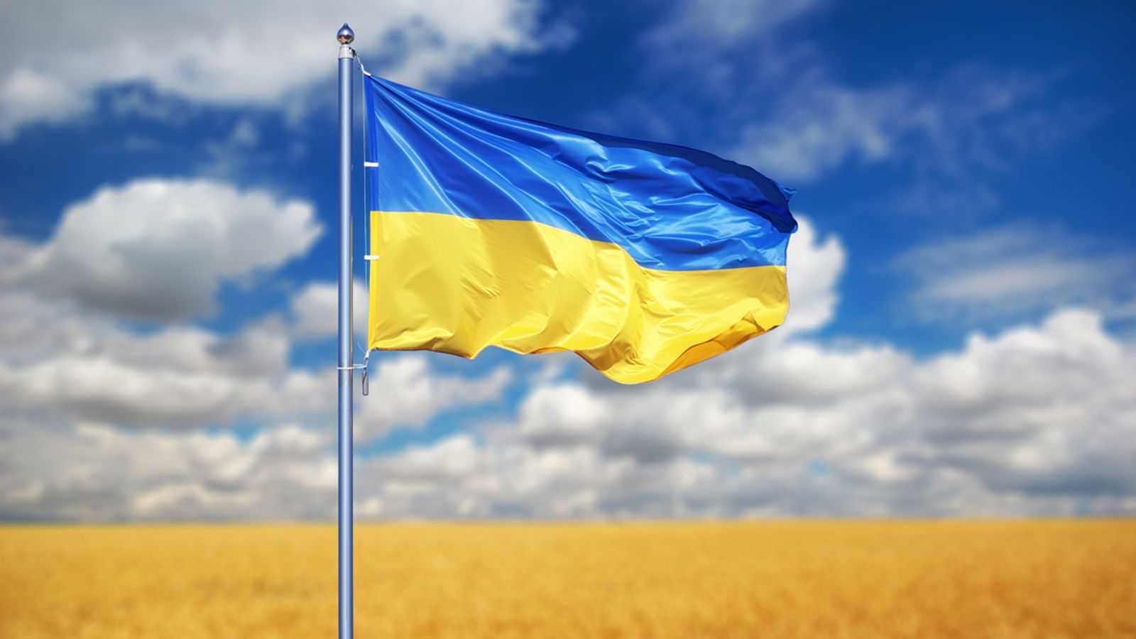 Symbol Ukrainy: Polska upraszcza ukraiński eksport zboża