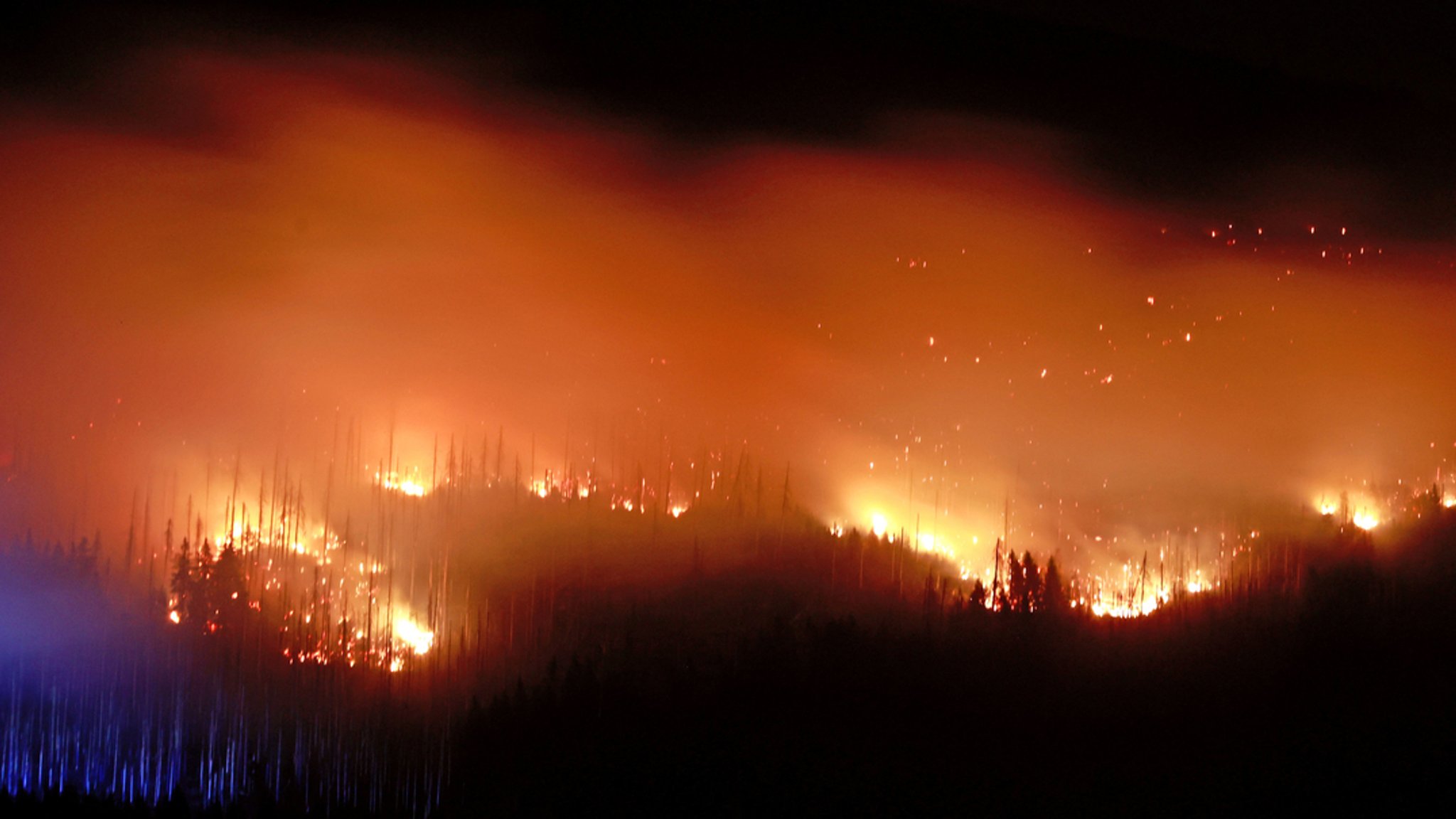 1.000 Meter lange Feuerfront am Brocken im Harz