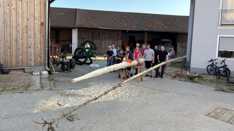Die Burschen des Trachtenvereins Burgbergler aus Donaustauf mit zwei Maibäumen. Rechts ist der gestohlene des Gasthofes Hammermühle in Sulzbach. | Bild: Bayerischer Rundfunk/ Kellermann Die Burschen des Trachtenvereins Burgbergler aus Donaustauf mit zwei Maibäumen. Rechts ist der gestohlene des Gasthofes Hammermühle in Sulzbach.