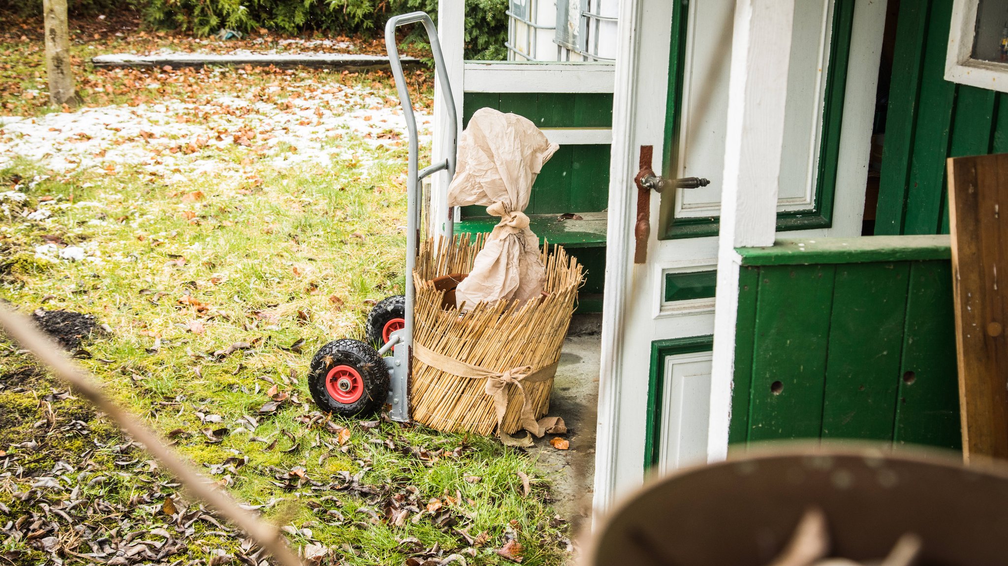 Eine eingepackte Kübelpflanze wird auf einem Sackkarren in einen Schuppen gebracht