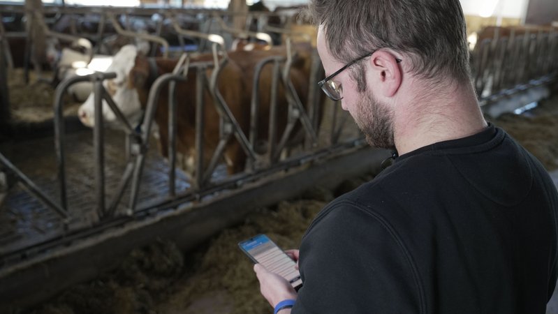 Verschiedene Apps am Handy können dem Landwirt helfen, die Tiergesundheit im Stall zu verbessern. Sie sind eine digitale Unterstützung - mehr aber nicht.