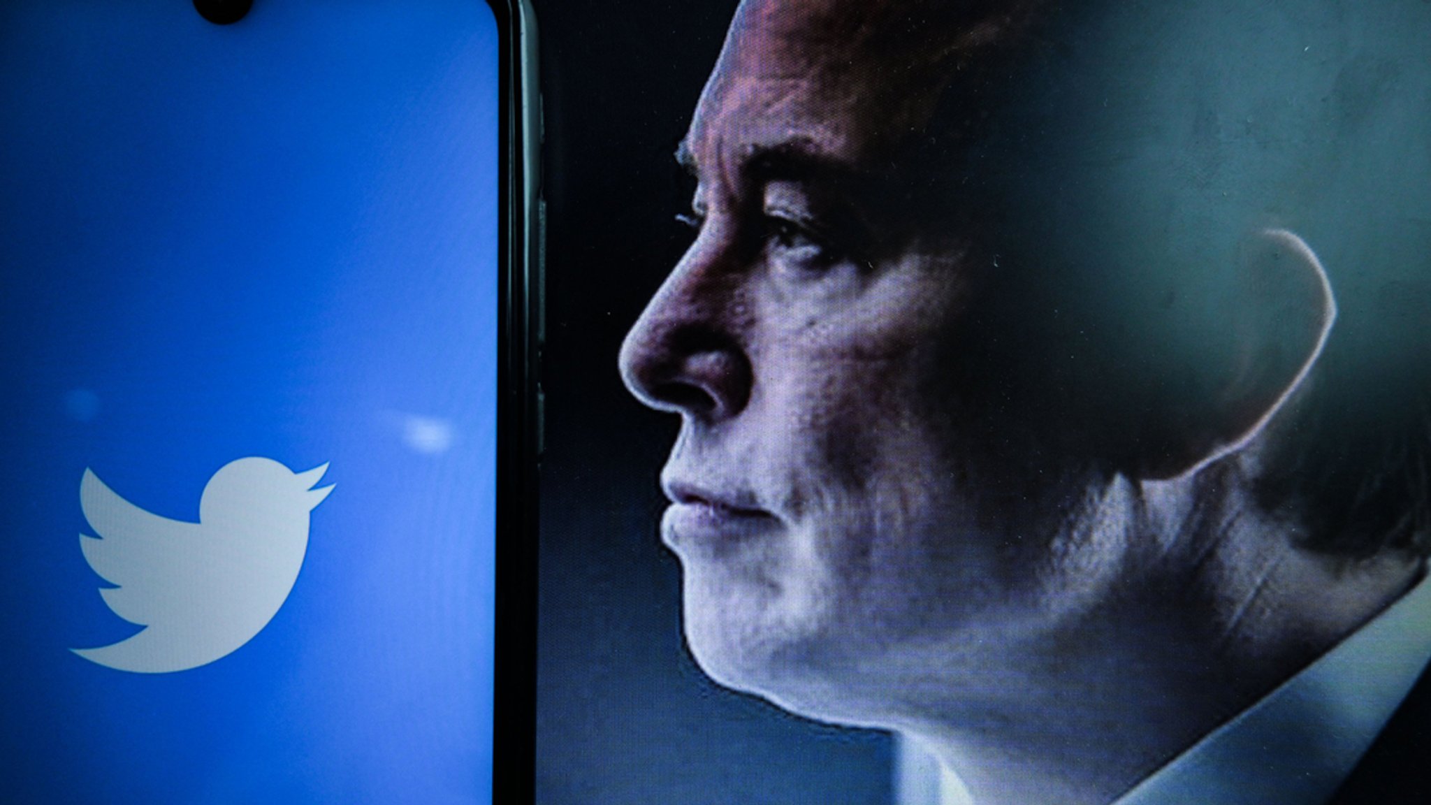 Elon Musk neben Twitter-Logo