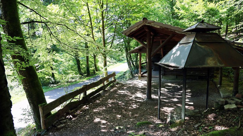 ARCHIV - 11.08.2024, Bayern, Altenbuch: In der Nähe einer Grillhütte im Spessart ist die Leiche eines 18-Jährigen gefunden worden. (Archivbild) (zu dpa: «Lebenslange Haft für Ehepaar nach Beil-Mord an Flüchtling») Foto: Ralf Hettler/dpa +++ dpa-Bildfunk +++ | Bild: dpa-Bildfunk/Ralf Hettler ARCHIV - 11.08.2024, Bayern, Altenbuch: In der Nähe einer Grillhütte im Spessart ist die Leiche eines 18-Jährigen gefunden worden. (Archivbild) (zu dpa: «Lebenslange Haft für Ehepaar nach Beil-Mord an Flüchtling») Foto: Ralf Hettler/dpa +++ dpa-Bildfunk +++