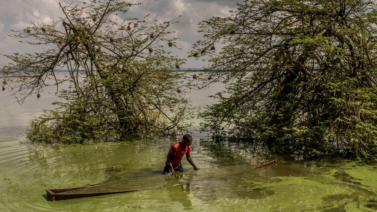 Ein afrikanischer Fischer holt sein im Schlick verstecktes Boot am Ufer des Viktoriasees hervor.
