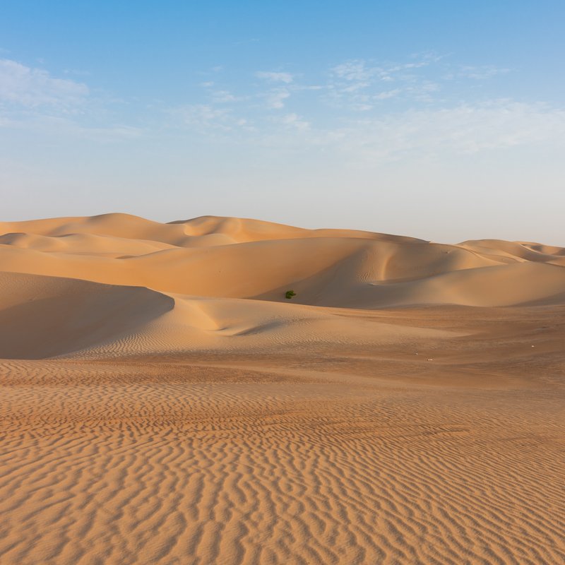 Wenn Lebensraum zur Wüste wird - Alles Natur! - radioWissen | BR Podcast