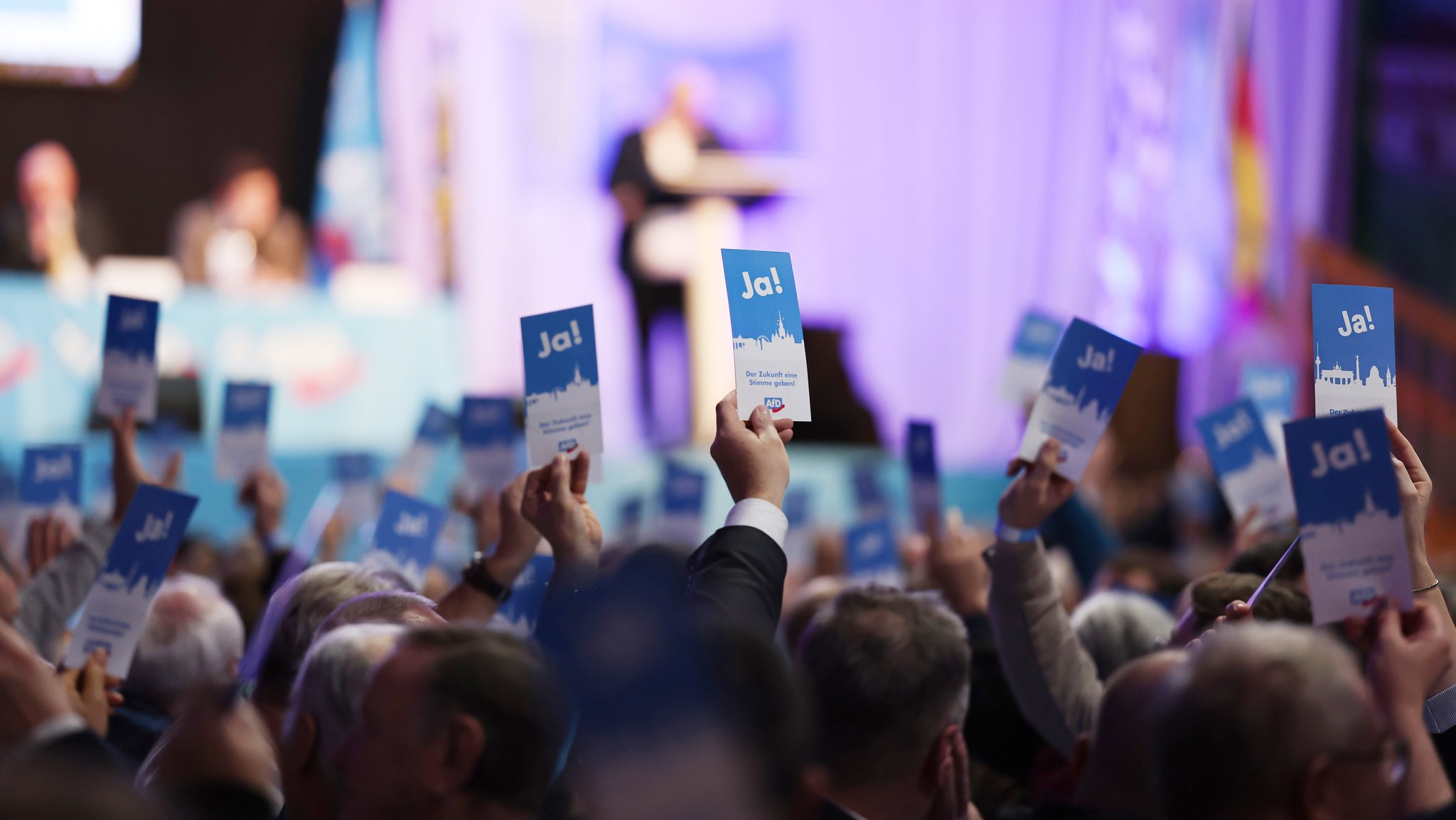 Mitglieder der AfD Bayern stimmen ab