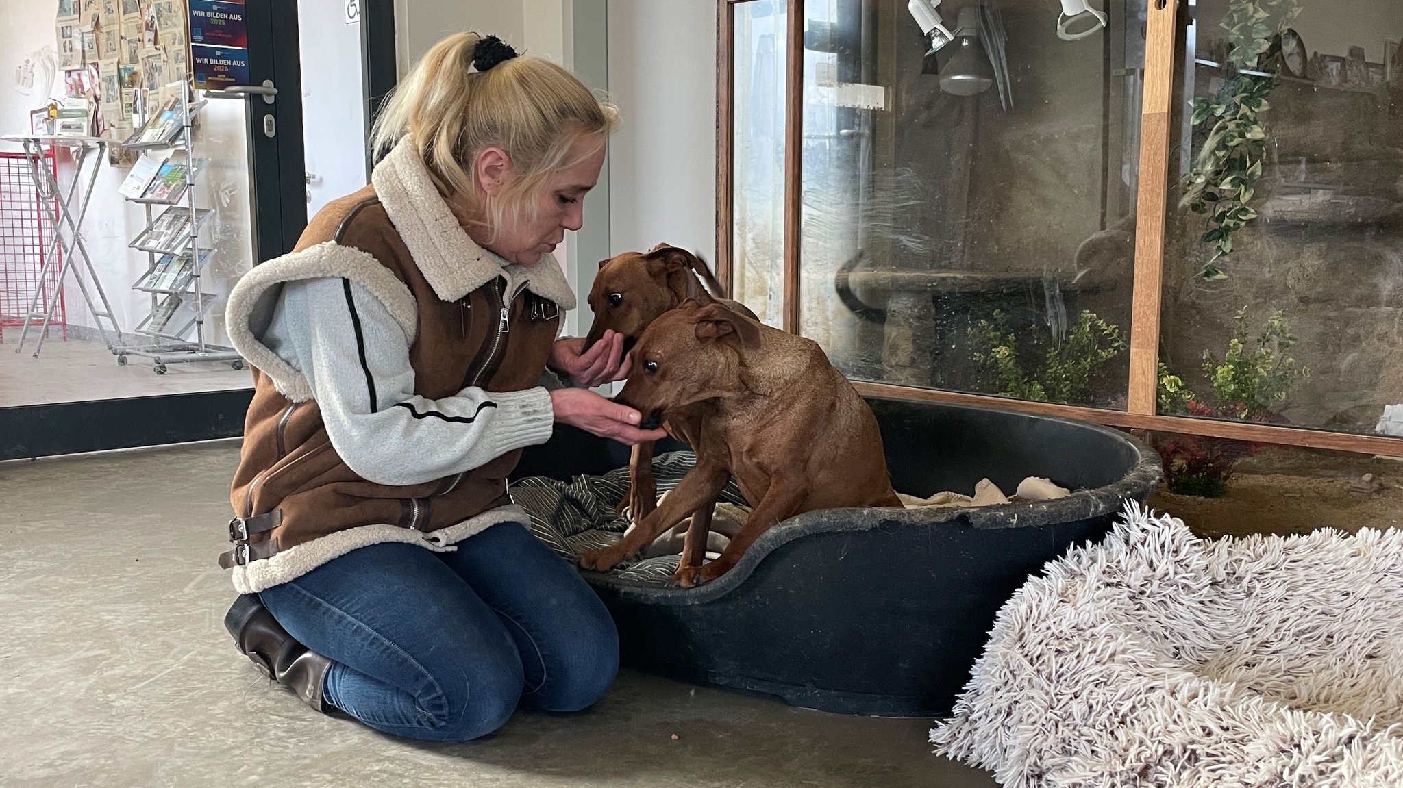 Tierheim Haßberge: Auch Lotte und Motte stammen aus einem Fall von "Animal Hoarding".