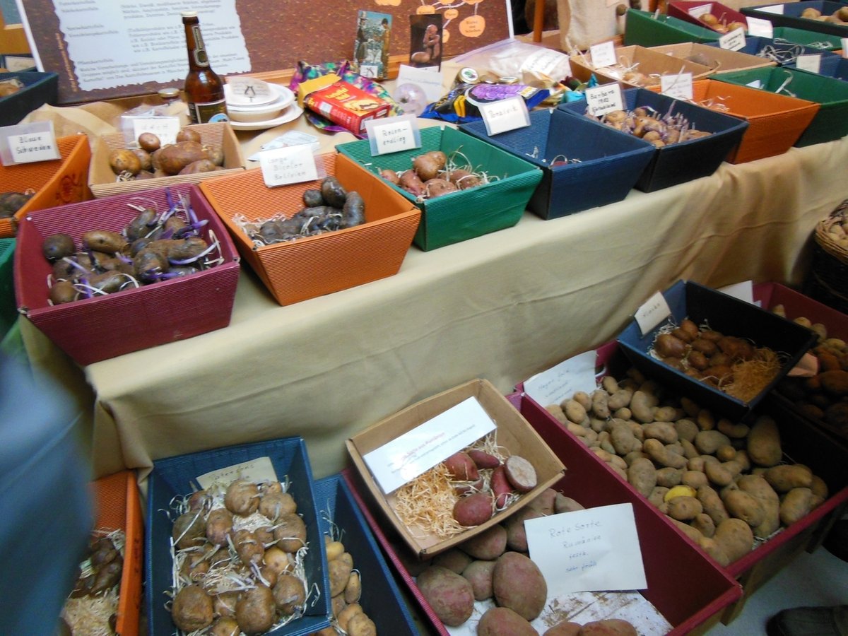 Alte Obst- und Gemüsesorten auf dem Saatgutfestival