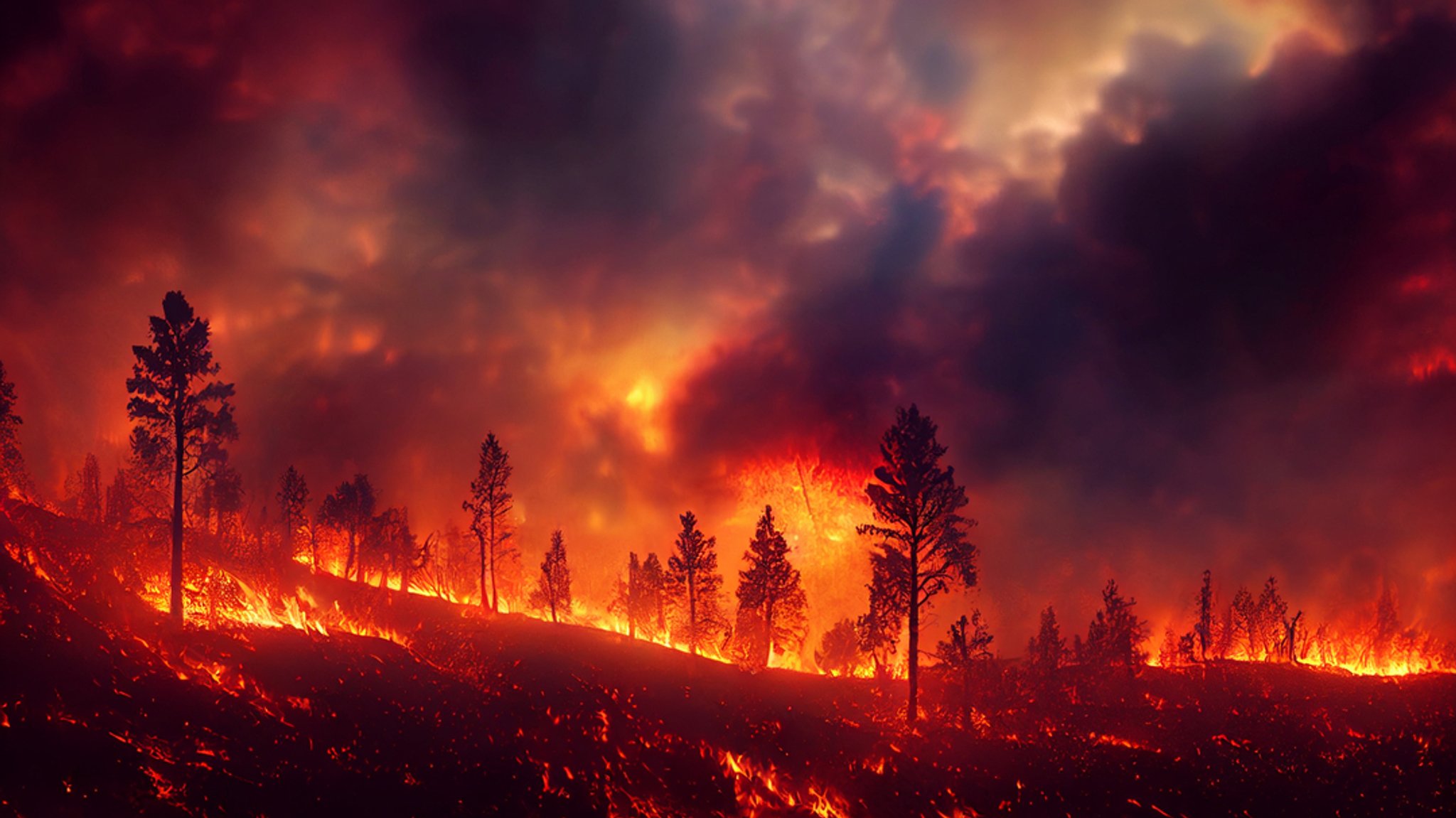 Dunkle Wolken über einem Waldbrand