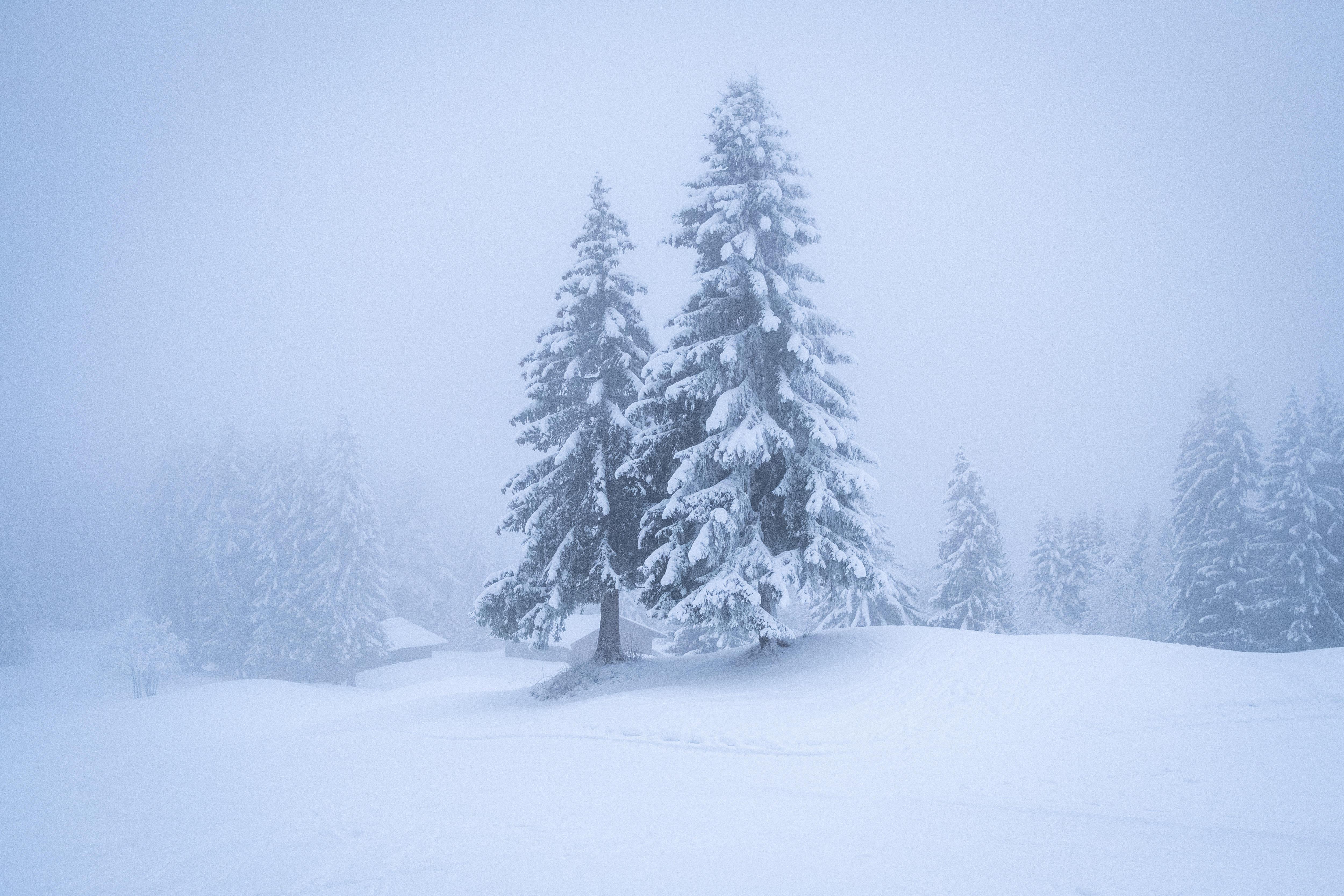 Symbolbild: Schneesturm in den Alpen.