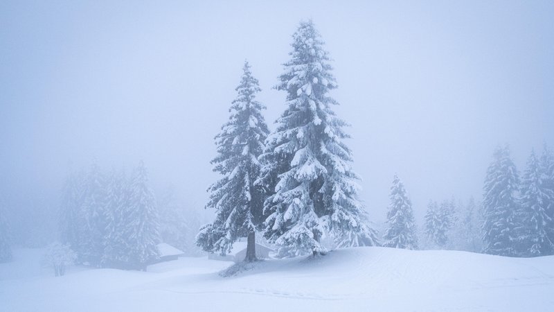 Symbolbild: Schneesturm in den Alpen. | Bild: picture alliance / Hans Lucas | Martin Bertrand Symbolbild: Schneesturm in den Alpen.