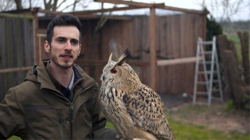 Danilo Batz mit einem Uhu auf dem Arm | Bild: BR Danilo Batz mit einem Uhu auf dem Arm