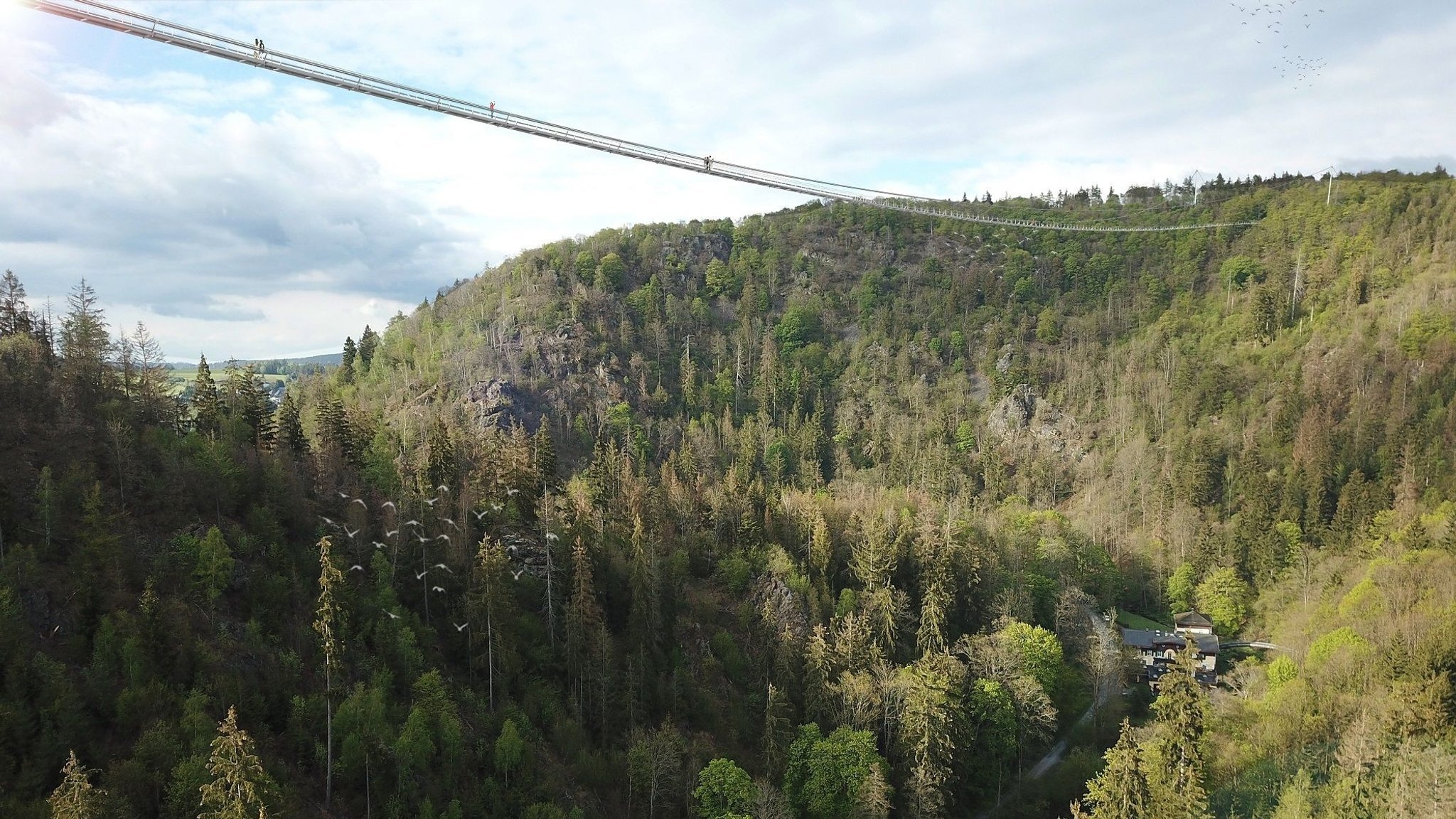 Eine Fußgänger-Hängebrücke ist über das Höllental gespannt. Unten sind viele Bäume zu sehen. | Bild: sbp schlaich bergermann partner Eine Fußgänger-Hängebrücke ist über das Höllental gespannt. Unten sind viele Bäume zu sehen.