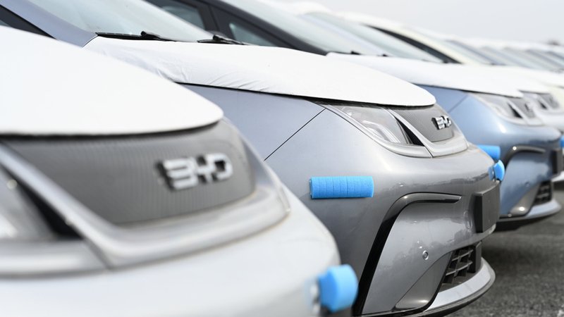 Hunderte Neuwagen des Modells Dolphin vom Autohersteller BYD stehen im Hafen. | Bild: dpa-Bildfunk/Lars Penning Hunderte Neuwagen des Modells Dolphin vom Autohersteller BYD stehen im Hafen.