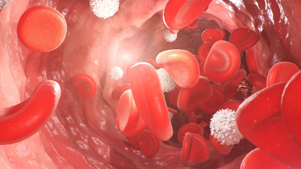 Blutgefäß rote Blutkörperchen Ader Arterie Vene