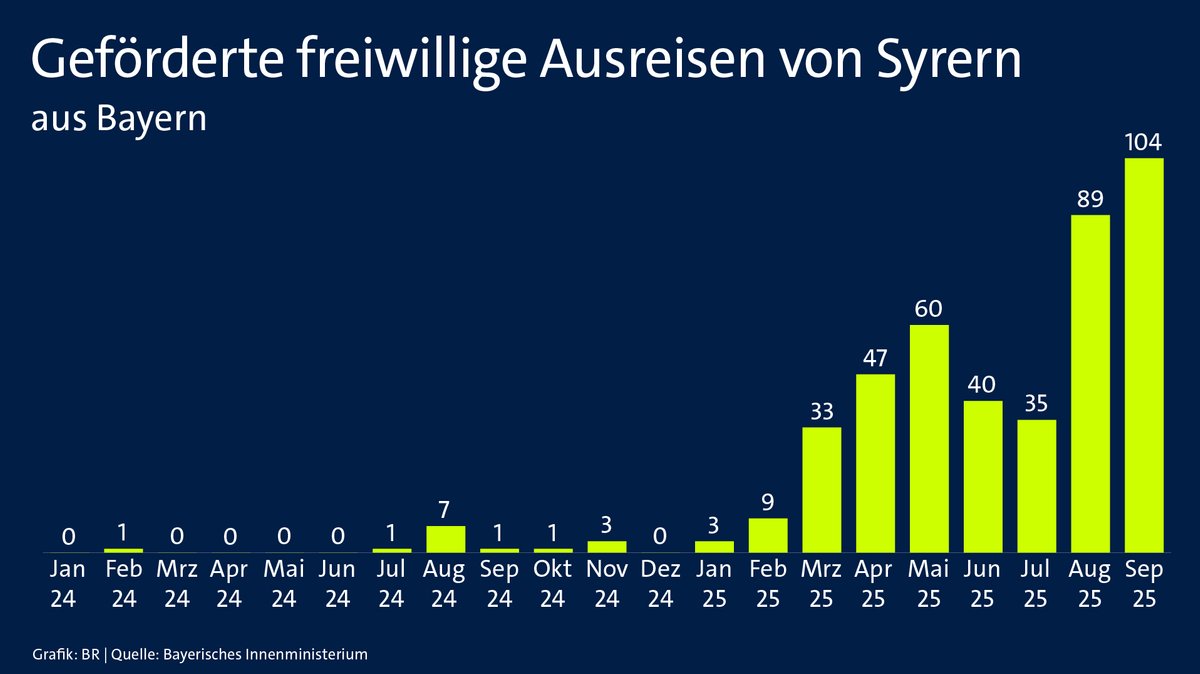 Grafik Freiwillige Ausreisen | Bild: BR Grafik Freiwillige Ausreisen