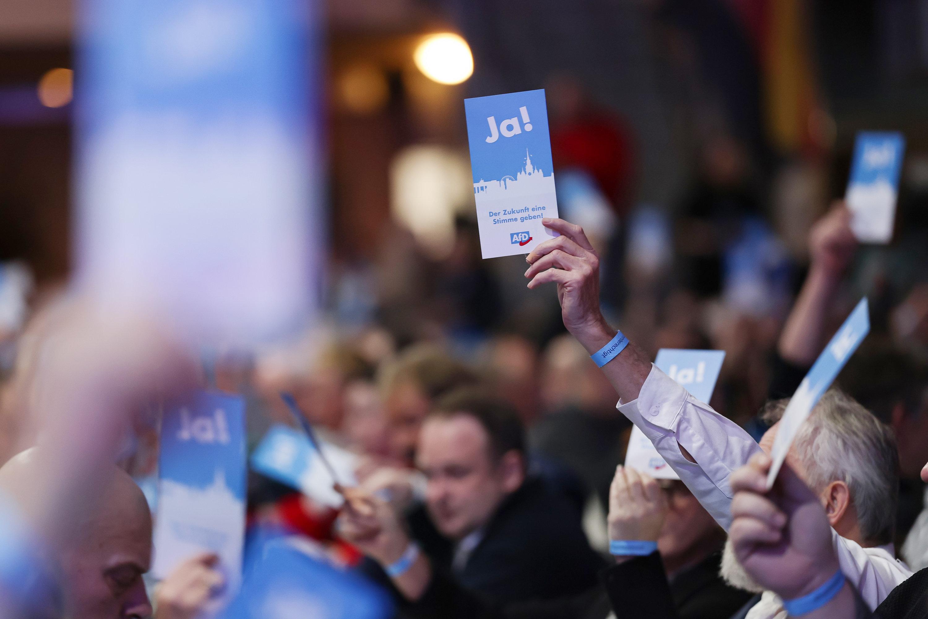 Die AfD beim Parteitag in Greding