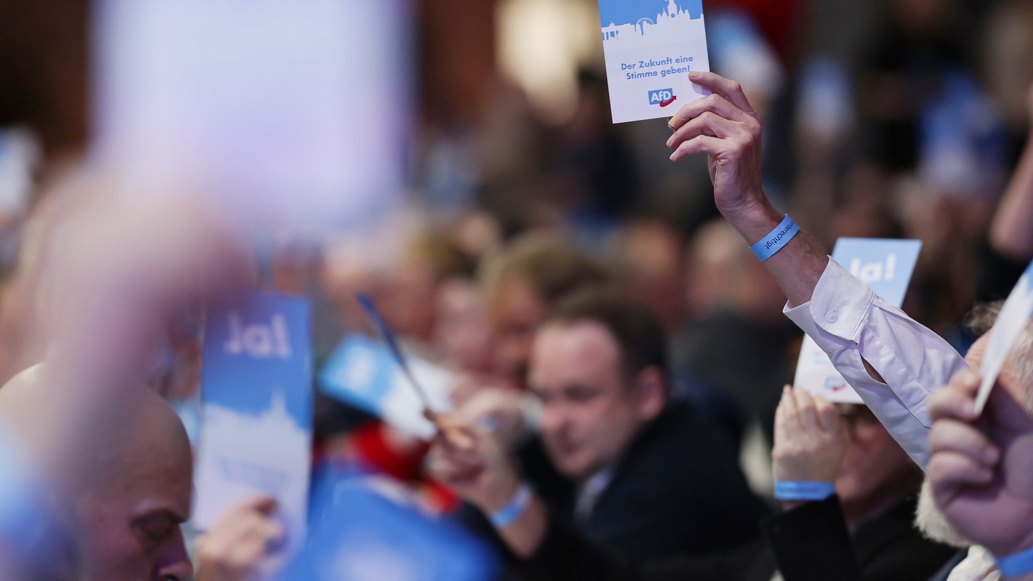 Die AfD beim Parteitag in Greding