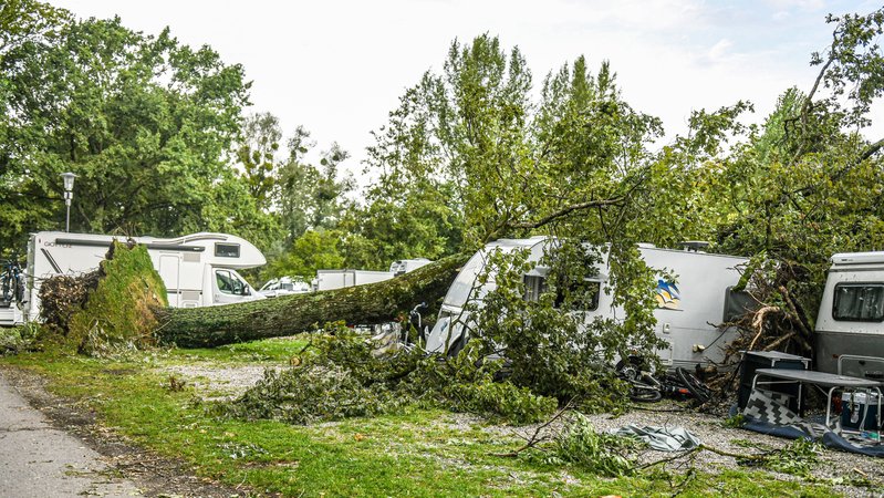 Bäume liegen nach einem Unwetter auf Campingwagen auf einem Campingplatz in Lindau am Bodensee.