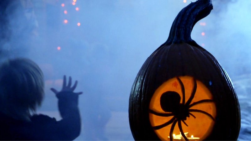 Ausgehöhlter Kürbis mit einem Spinnenschatten | Bild: BR Ausgehöhlter Kürbis mit einem Spinnenschatten