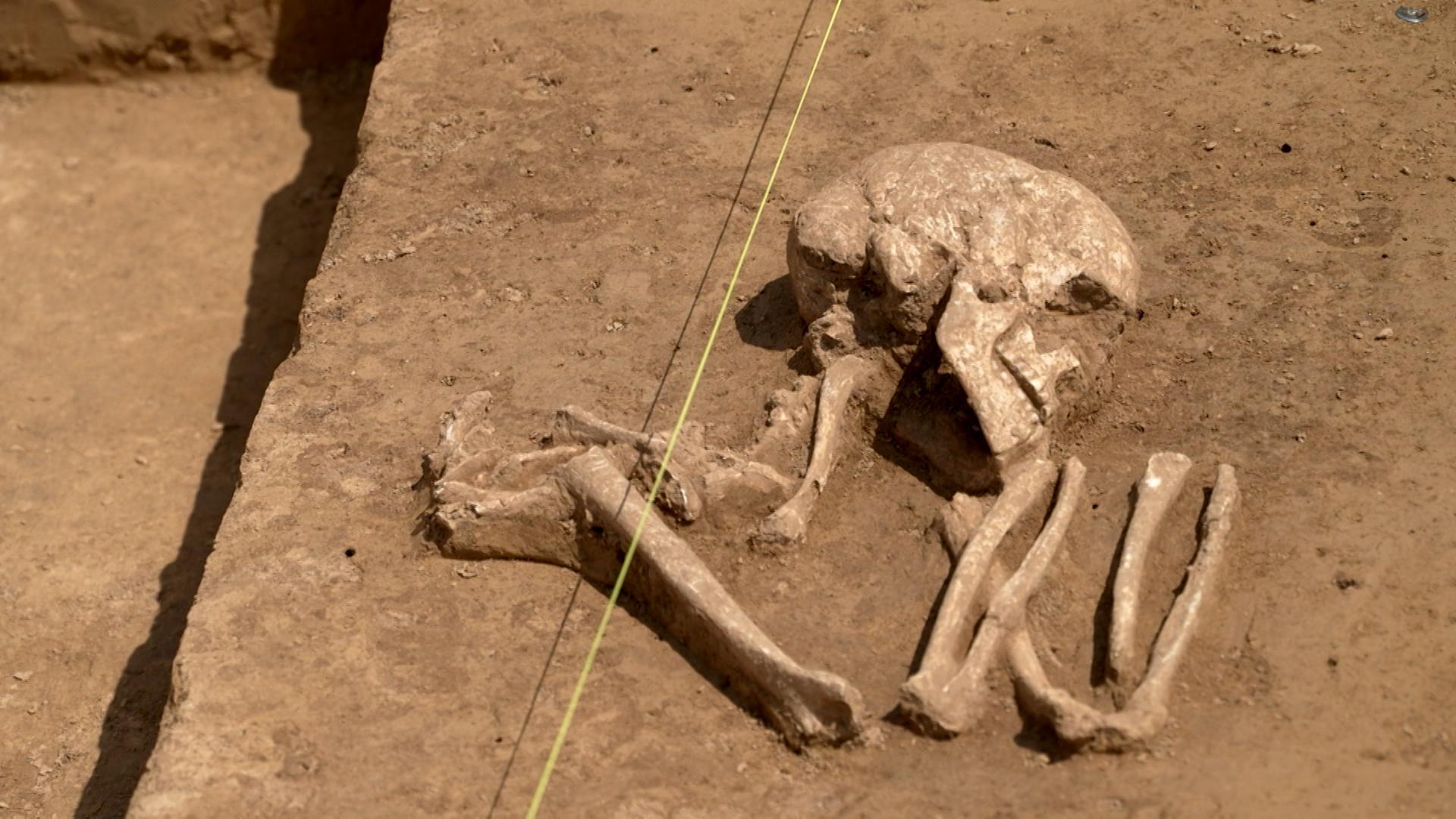 Entdeckte Skelettteile