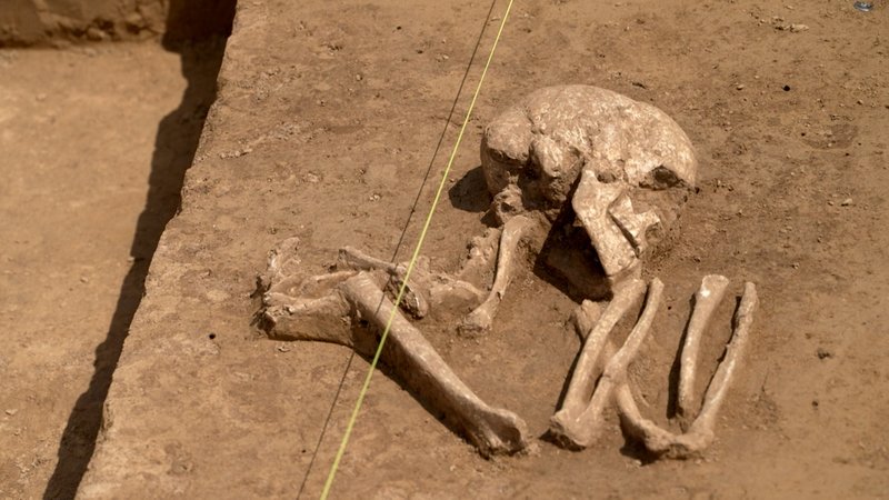 Entdeckte Skelettteile | Bild: BR Entdeckte Skelettteile