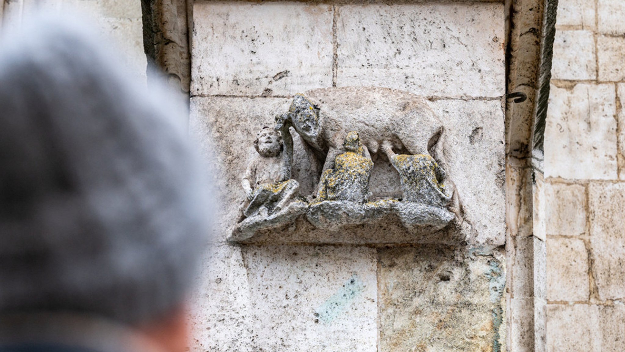 "Judensau" am Regensburger Dom: Hinschauen statt Vergessen