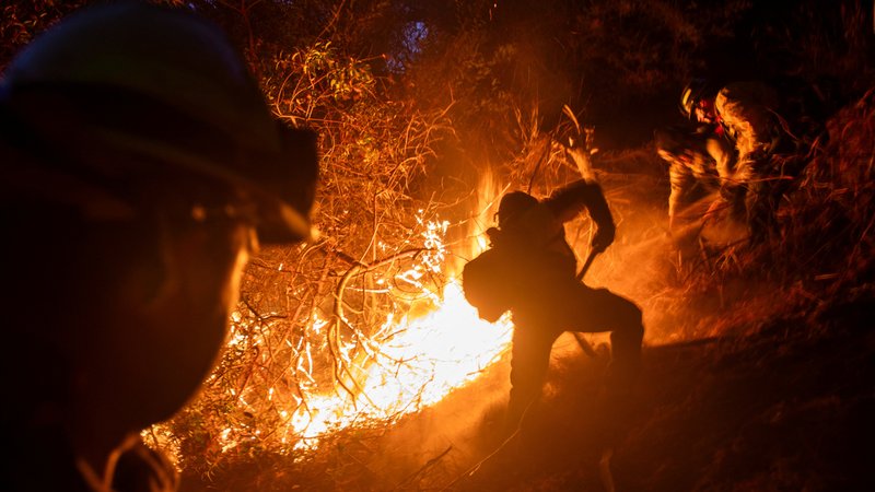 Feuerwehrleute bei Los Angeles im Kampf gegen die Flammen | Bild: REUTERS/Ringo Chiu Feuerwehrleute bei Los Angeles im Kampf gegen die Flammen