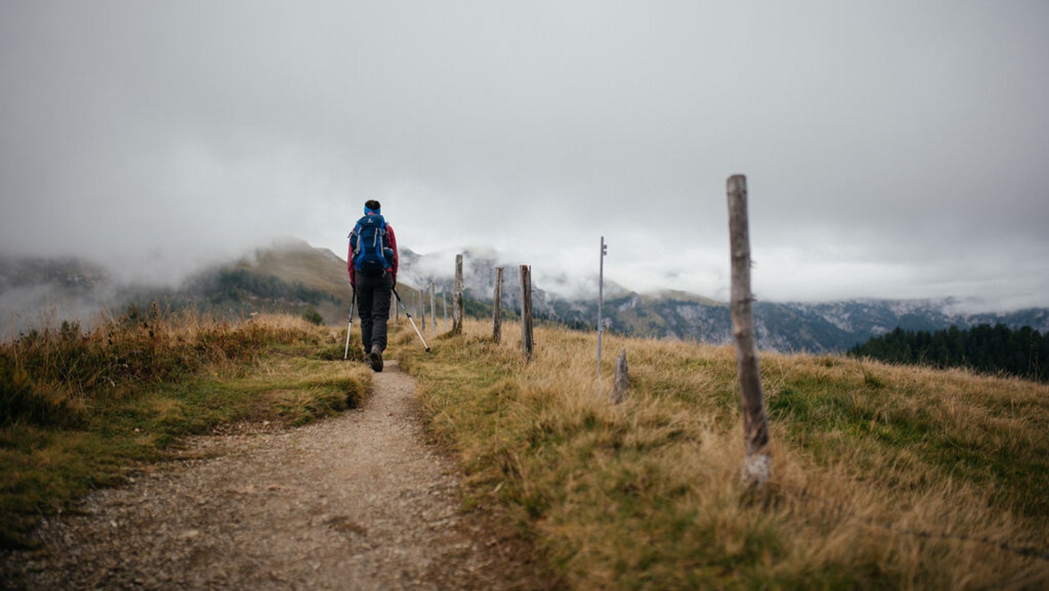 Ein Wanderer auf einem kleinen Wanderpfad. | Bild: BR/Julia Müller Ein Wanderer auf einem kleinen Wanderpfad.