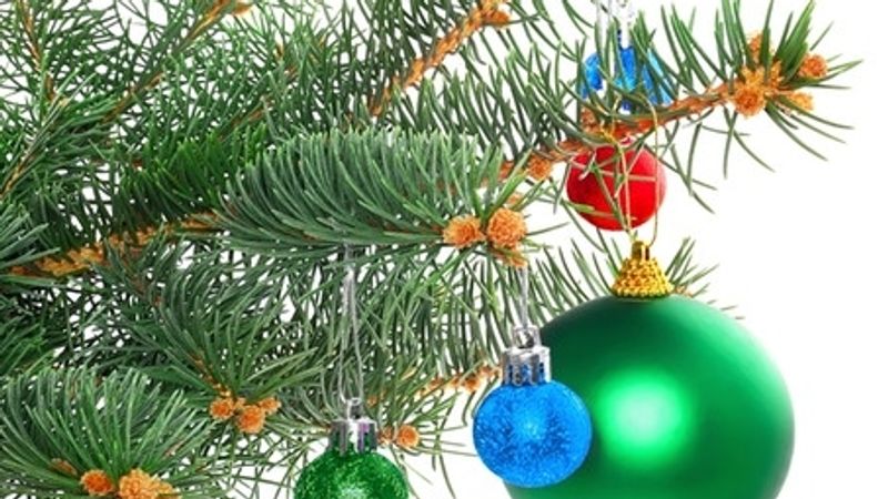 Einfach Vorbeikommen In Hof Gibt Es Kostenlose Christbaume Br24