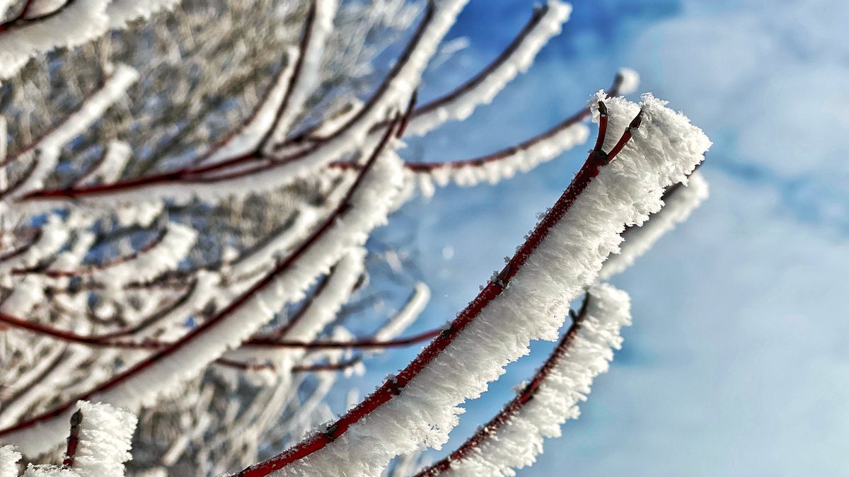 Traumwetter am Berg, schlechte Luft im Tal: Das ist der Grund