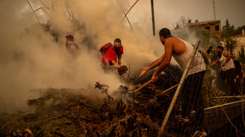 Freiwillige Helfer versuchen einen Waldbrand in einem Waldgebiet nördlich von Athen zu löschen.