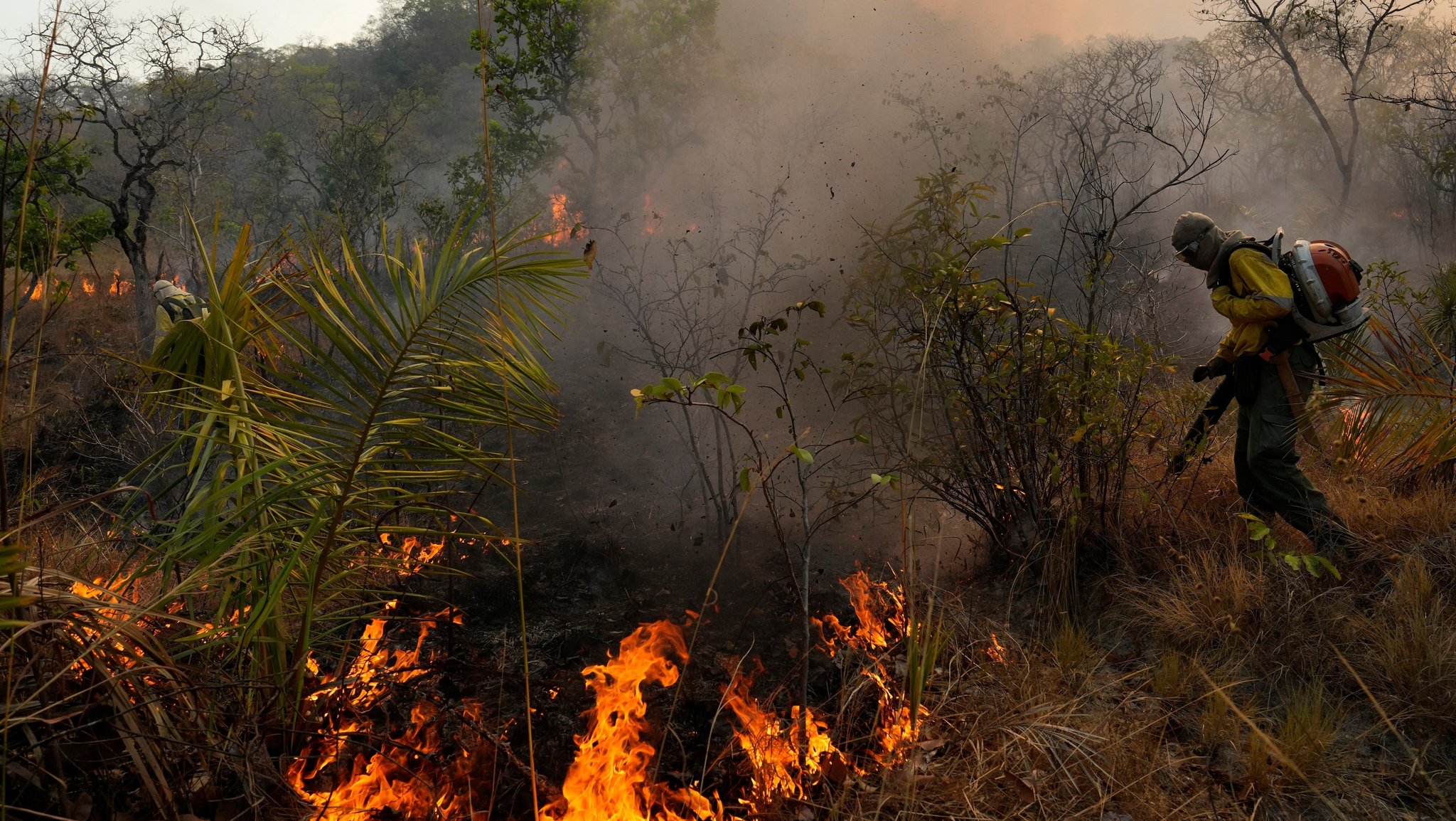 03.10.2025: Ein Feuerwehrmann kämpft gegen einen Waldbrand im braslianischen Bundesstaat Goiás.