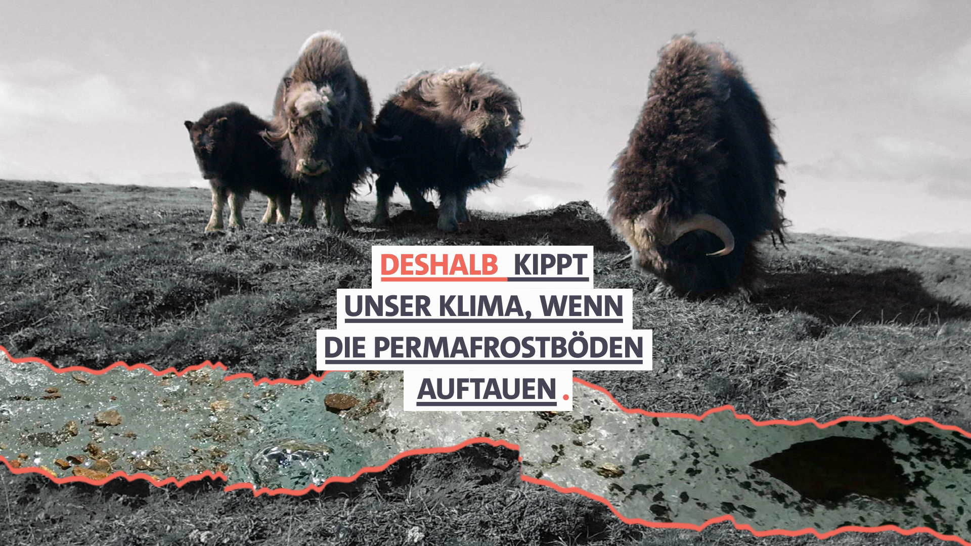 Deshalb kippt unser Klima, wenn die Permafrostböden auftauen.